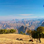 Etiopía Histórica: Iglesias Talladas en Roca y Antiguas Civilizaciones