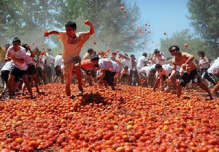 Festival La Tomatina