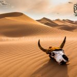 6 Experiencias Únicas en el Desierto del Sahara