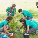 Viajes de Voluntariado: Cómo y Dónde Ayudar